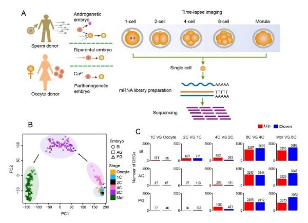 2019 1013 ¹̿챨 61 ϵͳ̫